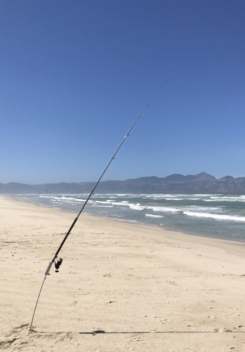 False Bay fishing