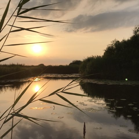 solnedgang vestjylland lystfiskeri 