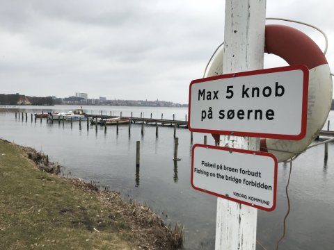 Viborg søerne fiskeri sandart nitro z7