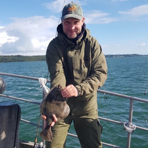 pausefiskeren fladfisk sandorm Aabenraa fjord Åbenrå fiskeri kutter