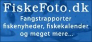 fiskefoto.dk