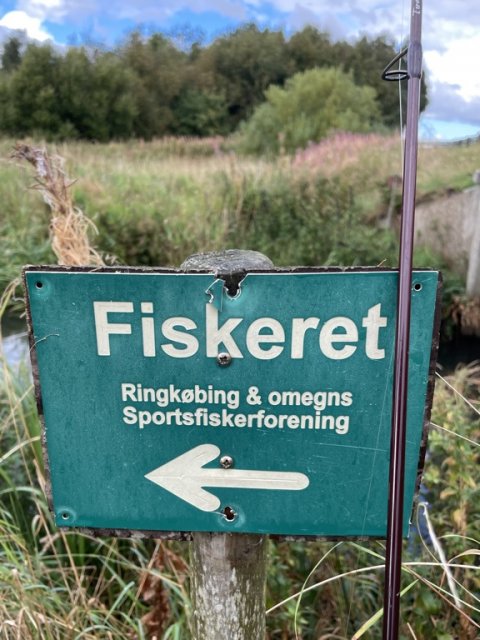 Fiskeret for medlemmer af Ringkøbing og Omegns Sportsfiskerforening