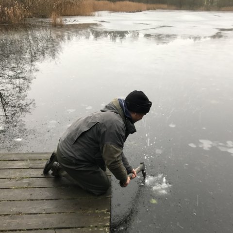 Fiskefoto.dk kasper økse hul i isen