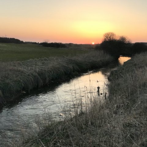 hover å fiskeri solnedgang vestjylland
