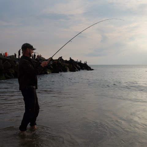 makrel fight flex på klingen kystfiskeri