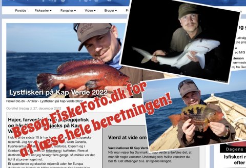 FiskeFoto.dk - Artikel om fiskeri på Kap Verde