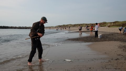 makrel fangst stranden ved thorsminde