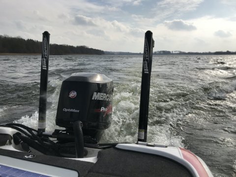 Viborg søerne fiskeri aborre sandart nitro z7
