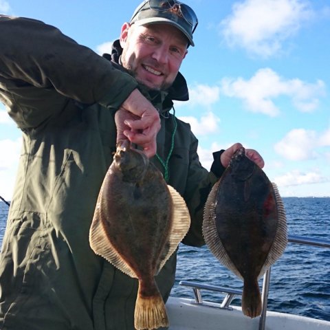 fiskeri langelandsbæltet felix rødspætte ising skrubbe