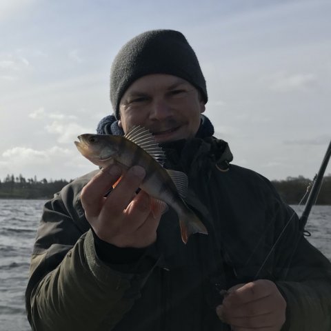 aborre søfiskeri lystfiskeri jolle fiskefoto.dk