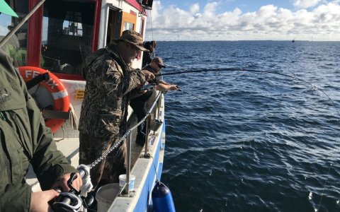 langelandsbæltet felix fiskeri rødspætte skrubbe