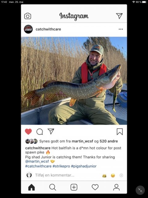 cwc strike pro catch with care pigshad instagram gedde hecht pike Westcoast Sportfishing 