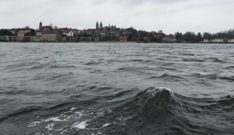 Viborg søerne fiskeri aborre sandart gedde nitro z7