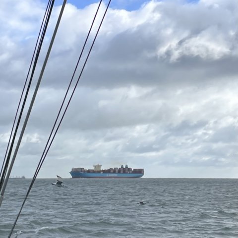 Skibstrafik på Langelandsbæltet