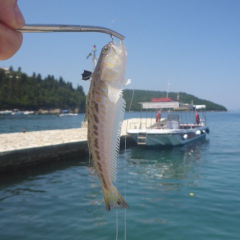 sivota harbour fishing angeln lystfiskeri greece weever